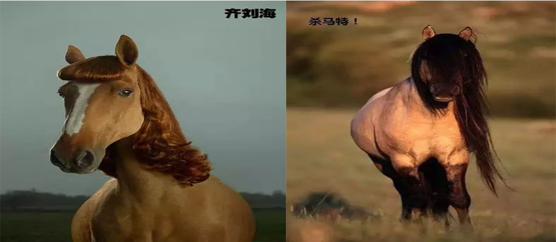 一匹马的造型，告诉我们发型真的很重要！