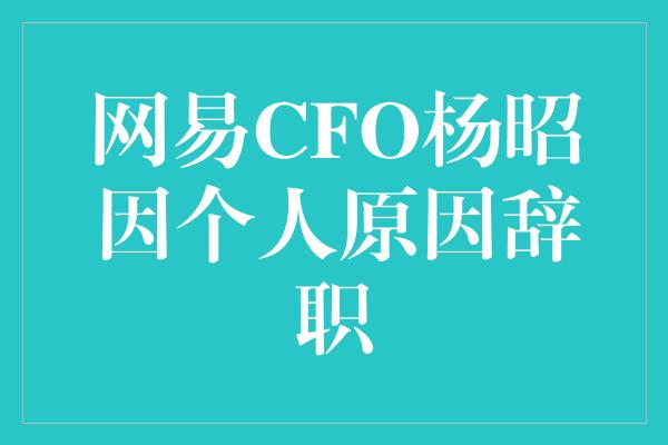 网易CFO杨昭烜因个人原因辞职