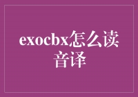 揭秘exocbx的音译之谜，让你轻松掌握正确发音！